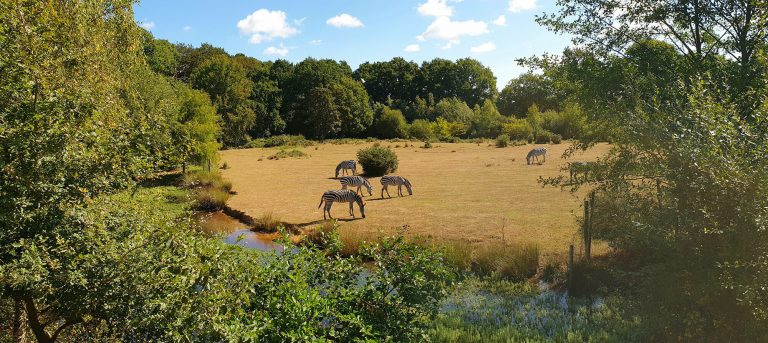 Camping in der Nähe des Tierparks Branféré