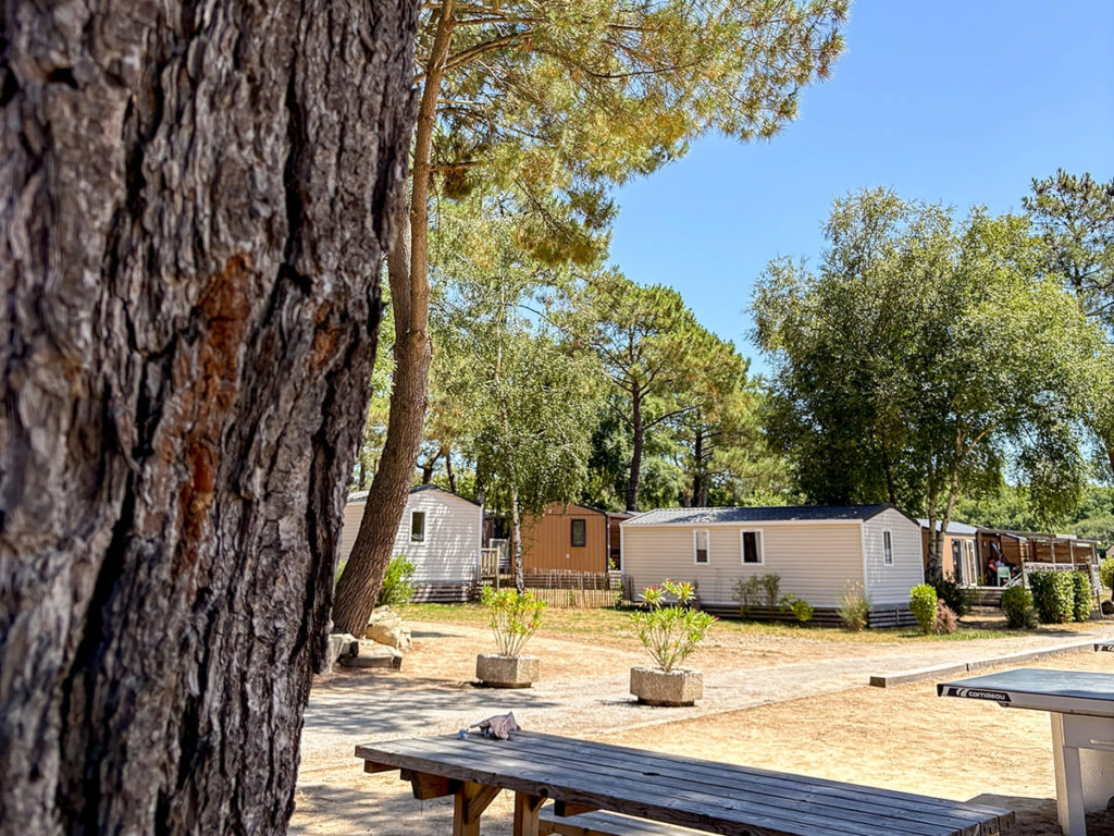 Mobil-home du camping Le Fort Espagnol et des tables dans les allées