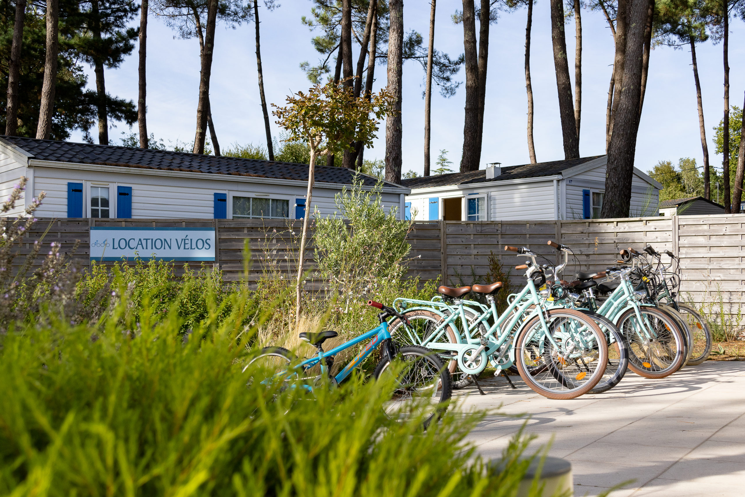 Vélo de location dans un camping Breton