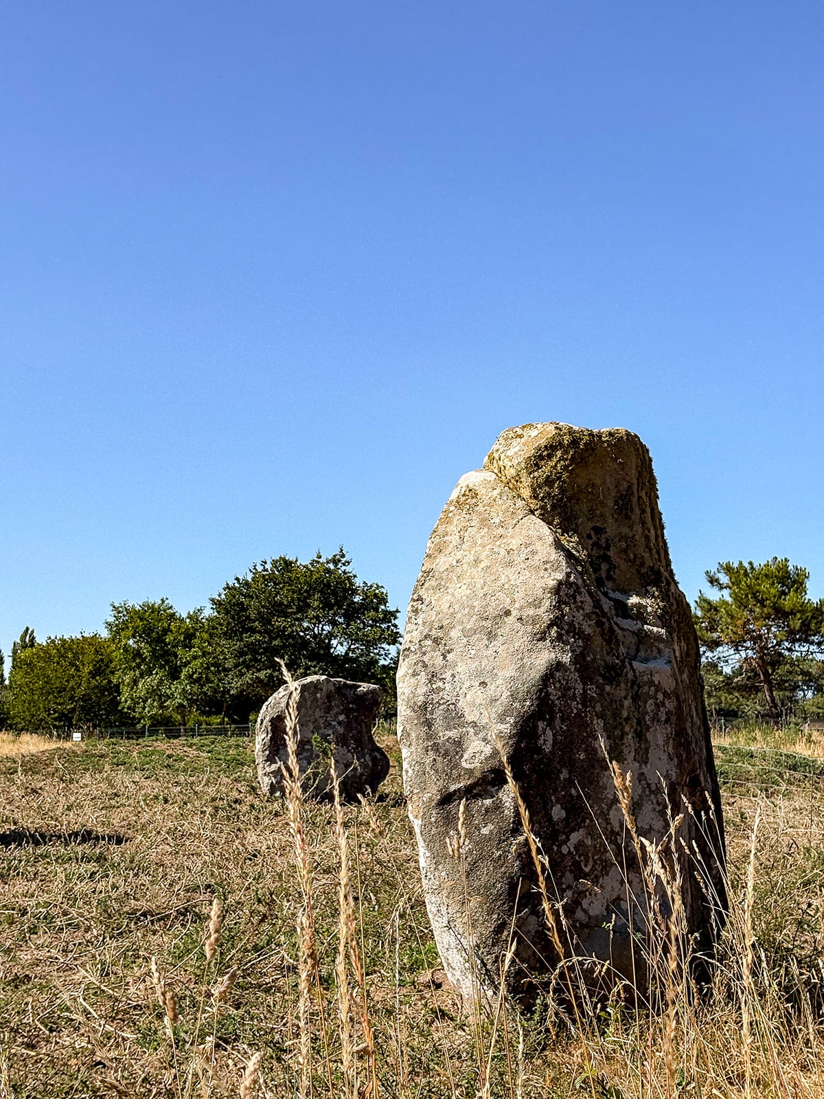 Menhir mitten auf einem Feld unter blauem Himmel