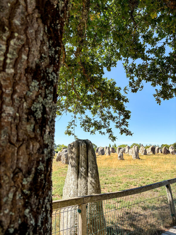 Alignement de Carnac dans le Golf du Morbihan