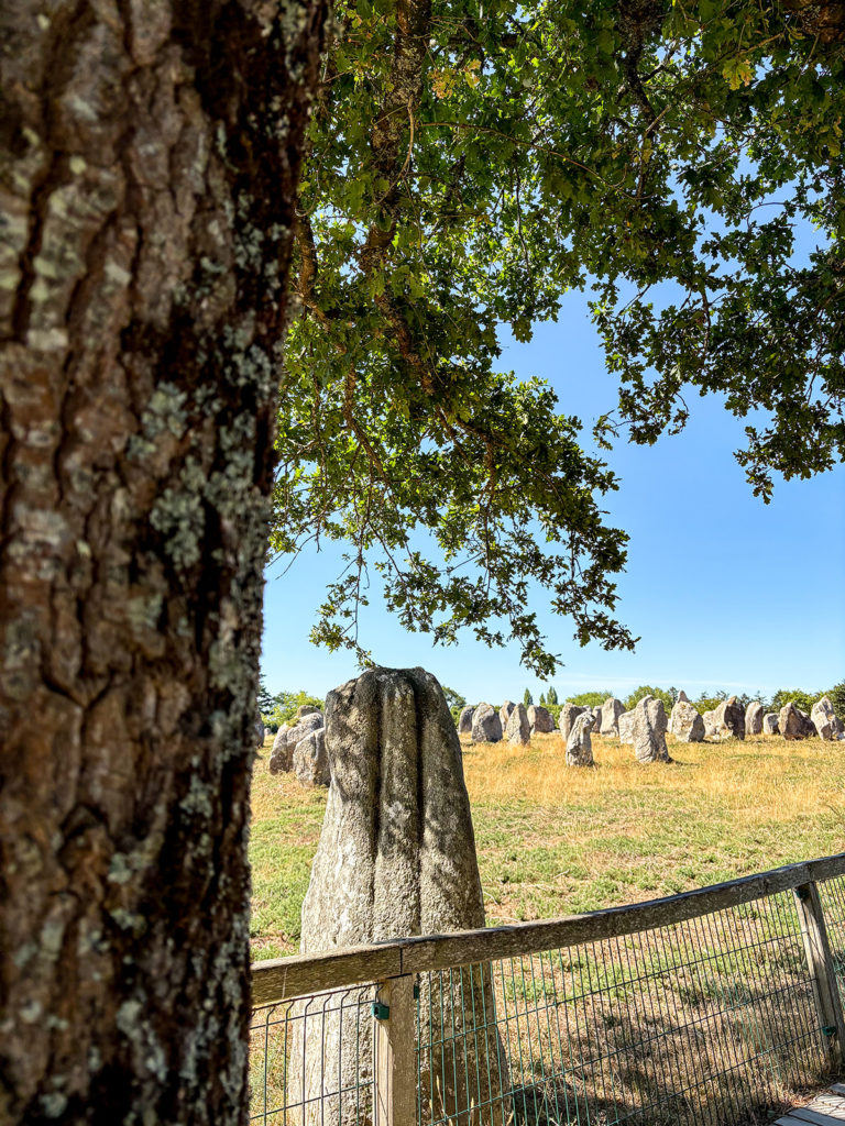 Alignement de Carnac dans le Golf du Morbihan